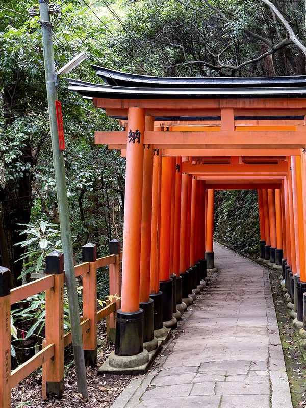 Túnel de torii en Fushimi Inari, Kioto.