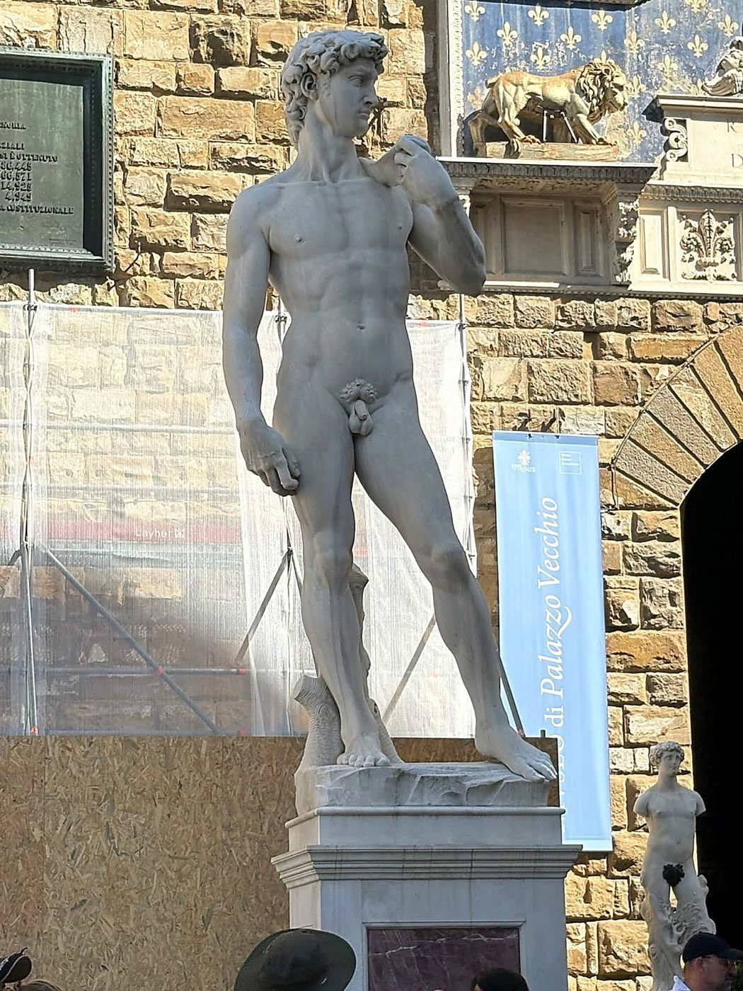 El David en la Piazza della Signoria, Florencia.